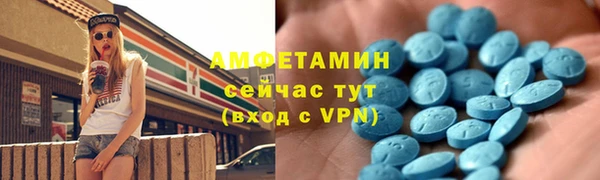 стаф Алзамай