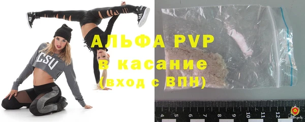 стаф Алзамай