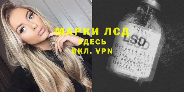 стаф Алзамай