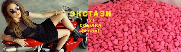 стаф Алзамай