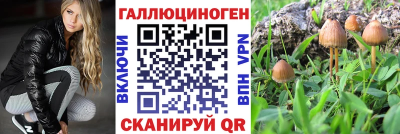 продажа наркотиков  Димитровград  Галлюциногенные грибы Psilocybe 